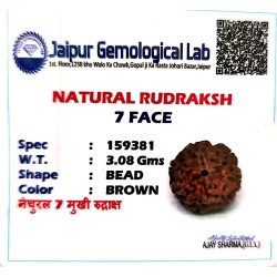 7 Mukhi Indonesia Rudraksha – Original & Certified Saatmukhi Bead 7 Mukhi Indonesia Rudraksha – Original & Certified Saatmukhi Bead